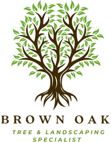 Brown Oak Tree Services